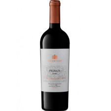 Вино Мальбек Примус / Malbec Primus, Salentein, червоне сухе 14.5% 0.75л mini slide 1