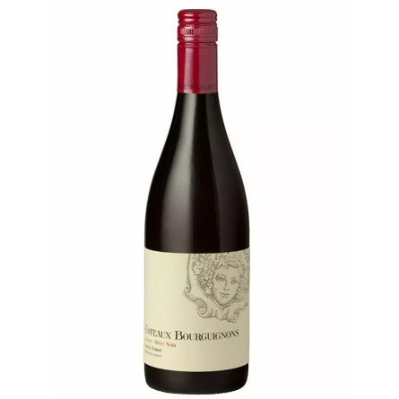 Вино Гаме - Пино Нуар, Кото Кото Бургонь / Gamay - Pinot Noir, Coteaux Bourguignons, Louis Jadot, красное сухое 12% 0.75л