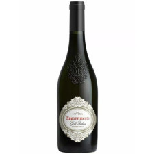 Вино Аппассіменто / Appassimento, CA Vittoria, Botter, червоне напівсухе 0.75л mini slide 1