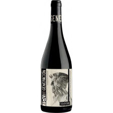 Вино Генерасьон 20 / Generacion 20, Tempore, червоне сухе 14.5% 0.75л mini slide 1