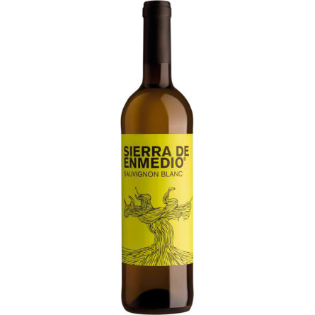 Вино Совиньон Блан, Сиерра де Енмедио / Sauvignon Blanc, Sierra de Enmedio, белое сухое 0.75л slide 1