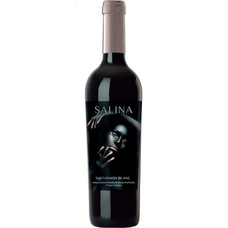 Вино Совіньйон Блан, Саліна / Sauvignon Blanc, Salina, Bodegas Alceno, біле сухе 0.75л slide 1
