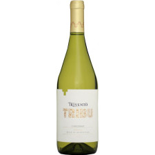 Вино Шардоне / Chardonnay, Tribu, Trivento, біле сухе 13.5% 0.75л mini slide 1