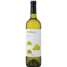 Вино Небла Вердехо / Nebla Verdejo біле сухе 12.5% ​​0.75л mini slide 1