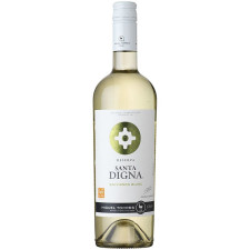Вино Совіньйон Блан / Sauvignon Blanc, Santa Digna, біле сухе 13% 0.75л mini slide 1