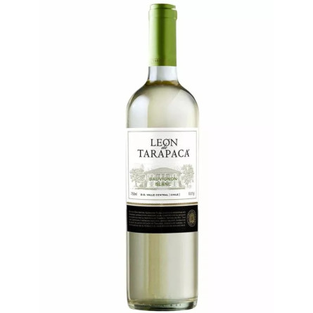 Вино Совіньйон Блан / Sauvignon Blanc, Tarapaca, біле сухе 12.5% ​​0.75л