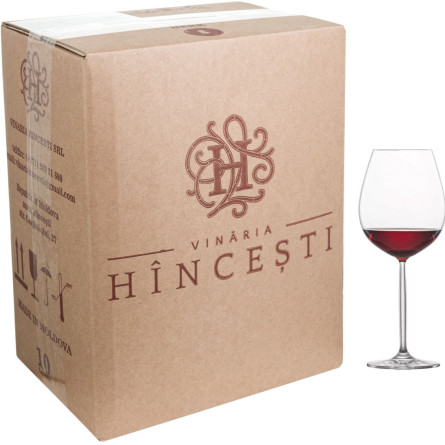 Вино Hincesti BAG IN BOX Піно Нуар червоне сухе 10 л 12% slide 1