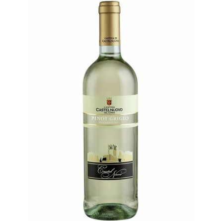 Вино Піно Гріджио / Pinot Grigio, Castelnuovo, біле сухе 12% 0.75л slide 1