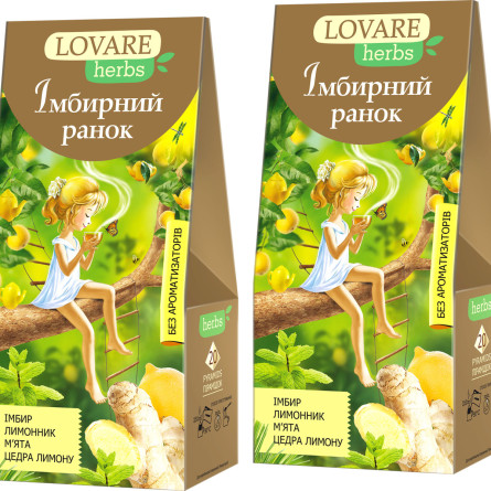 Упаковка чая Lovare Смесь травяного и ягодного с имбирем и цедрой лимона Имбирное утро 2 пачки по 20 пирамидок