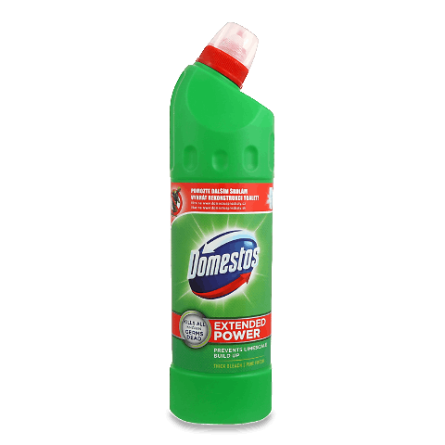 Domestos «Хвойна свіжість» slide 1