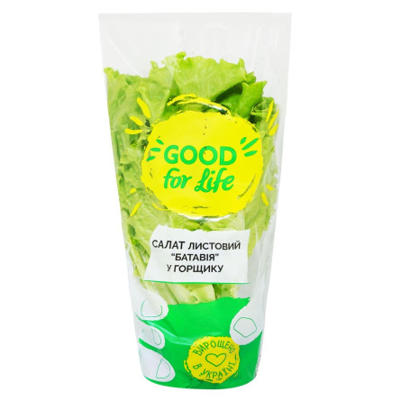 Салат Good for Life Батавия листовой 150г