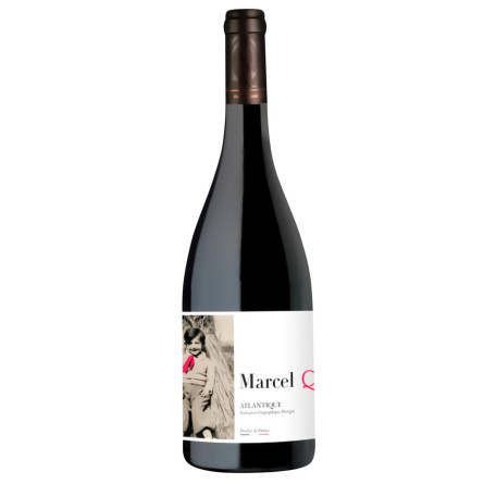 Вино Quancard Marsel Q3 красное сухое 13% 0,75л