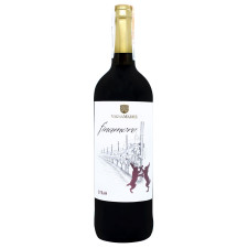 Вино Vigna Madre Finamore Syrah Varietale червоне сухе 13% 0,75л mini slide 1