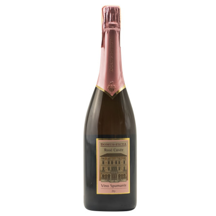 Вино игристое Domus-Picta Prosecco розовое сухое 11,5% 0,75л slide 1