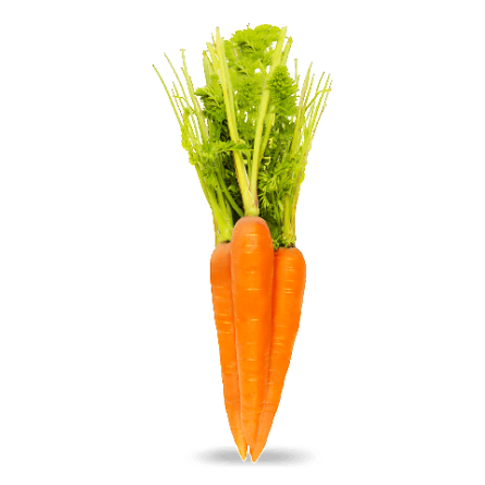 Морква молода slide 1