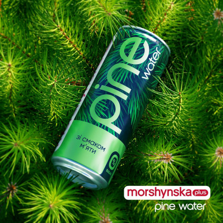 Напій безалкогольний Моршинська плюс Pine Water М'ята з екстрактом соснової хвої 0,33л slide 3