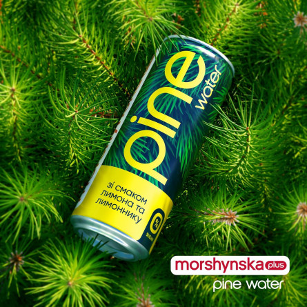 Напій безалкогольний Моршинська плюс Pine Water Лимон та Лимонник з екстрактом соснової хвої 0,33л slide 2
