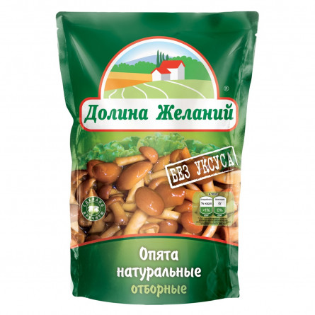 Опеньки Долина Бажань натуральні 200г slide 1