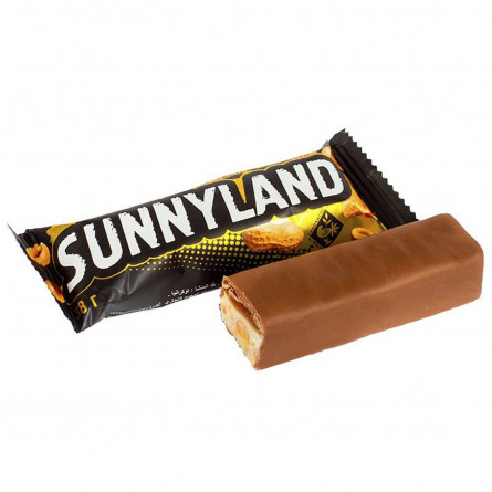 Цукерки Житомирські ласощі Sunnyland 38г slide 1