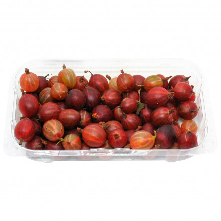 Агрус Miriada Fruits 250г slide 3