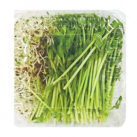 Мікрозелень Мікрогрін мікс салатний 50г slide 4