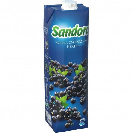 Нектар Sandora черная смородина 0,95л slide 1