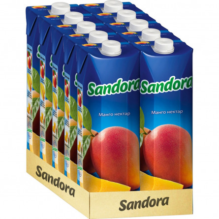 Нектар Sandora манго 0,95л slide 2