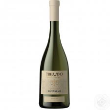 Вино Tbilvino Tsinandali белое сухое 12.5% 0,75л mini slide 2