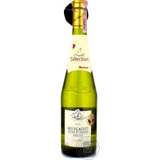 Вино біле Pierre Chanau Muscadet сухе 11.5% 0.75л mini slide 1