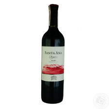 Вино Santa Ana Classic Malbec червоне напівсухе 12,5% 0,75л mini slide 1