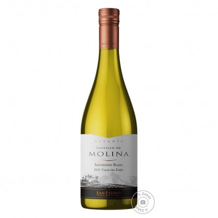 Вино Castillo de Molina Sauvignon Blanc біле сухе 0,75л slide 1