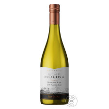 Вино Castillo de Molina Sauvignon Blanc біле сухе 0,75л mini slide 1