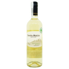 Вино Santa Alicia Sauvignon Blanc Central Valley біле сухе 12,5% 0,75л mini slide 1