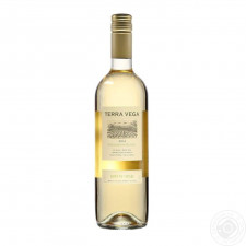 Вино Terra Vega Sauvignon Blanc Kosher Valle Central біле сухе 12% 0,75л mini slide 1