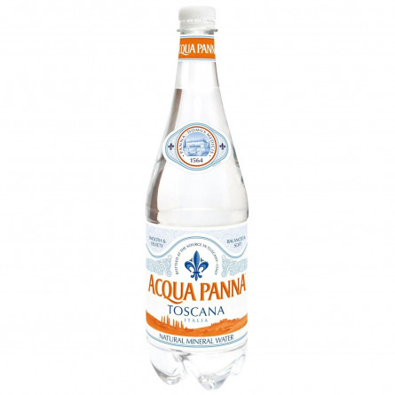 Вода минеральная Acqua Panna негазована 1л slide 1