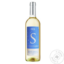 Вино Stellisimo Pinot Grigio Delle Venezie біле сухе 12% 0,75л mini slide 1