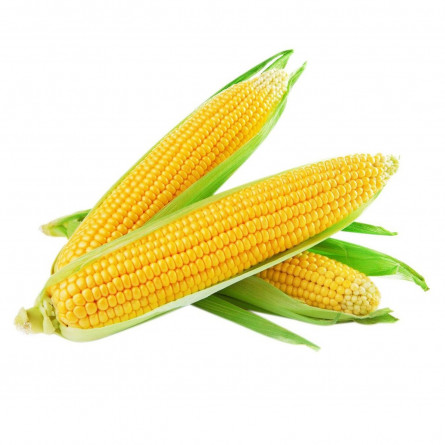 Кукурудза молода шт slide 1
