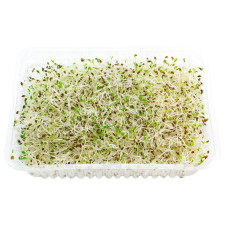 Мікрозелень Мікрогрін люцерни 50г mini slide 3
