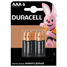 Лужні батарейки Duracell AAA, 6 шт. в упаковці mini slide 1