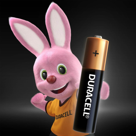 Лужні батарейки Duracell AAA, 10 шт. в упаковці slide 2