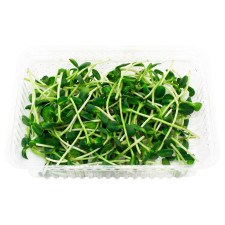 Мікрозелень Мікрогрін соняшника 50г mini slide 3