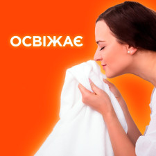 Пральний порошок Tide Альпійська свіжість автомат 6кг mini slide 4