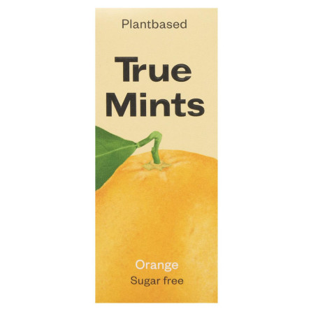Конфеты True Mints мятные освежающие со вкусом апельсина 13г slide 2
