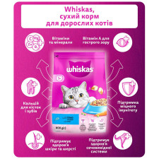 Корм сухой Whiskas с тунцем для взрослых кошек 800г mini slide 3