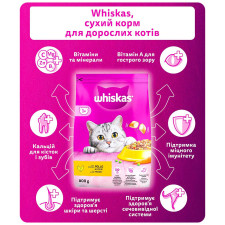 Корм сухий Whiskas з куркою для дорослих котів 800г mini slide 4