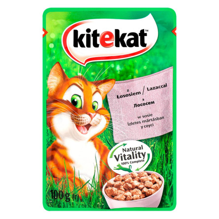 Корм для дорослих котів Kitekat з рибою в соусі 100г slide 1