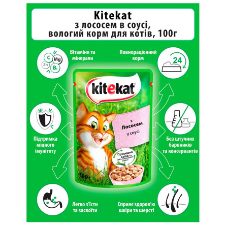 Корм для дорослих котів Kitekat з рибою в соусі 100г slide 2