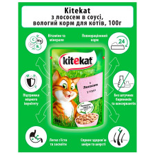 Корм для дорослих котів Kitekat з рибою в соусі 100г mini slide 2