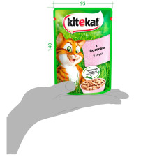 Корм для дорослих котів Kitekat з рибою в соусі 100г mini slide 4