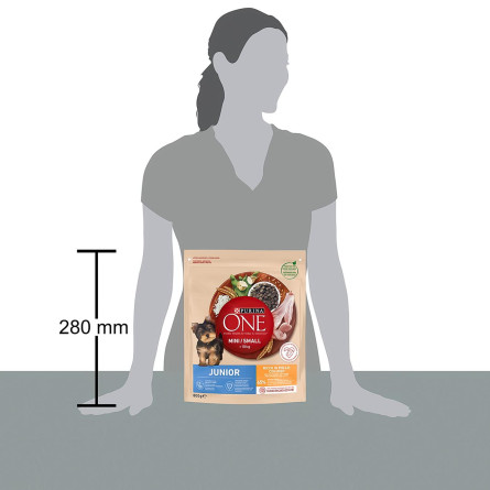 Корм сухой Purina ONE® MINI Junior с курицей и рисом для щенков мелких пород от 1 до 12 месяцев 800г slide 3